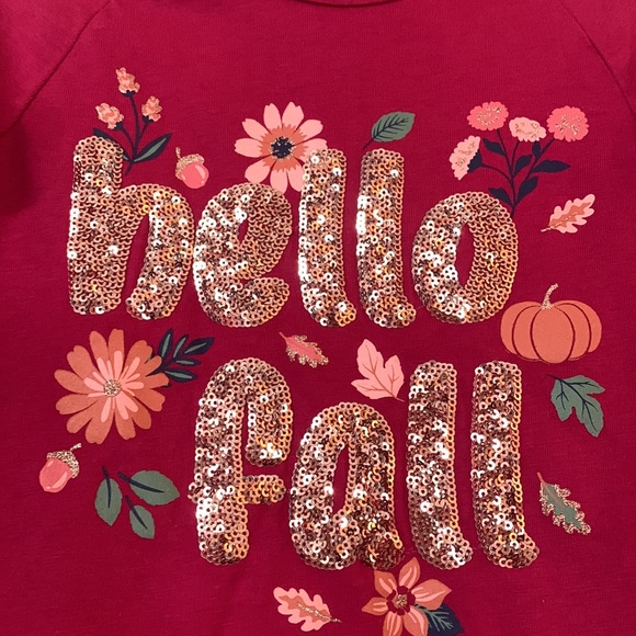 Cynthia Rowley Magenta “Hello Fall” 4 Sequin Top EUC - Picture 4 of 11